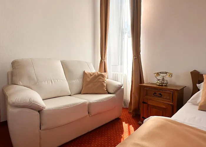 Pensjonat Cerny Leknin 3*