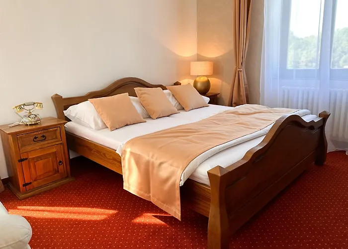 Cerny Leknin Pensjonat 3*